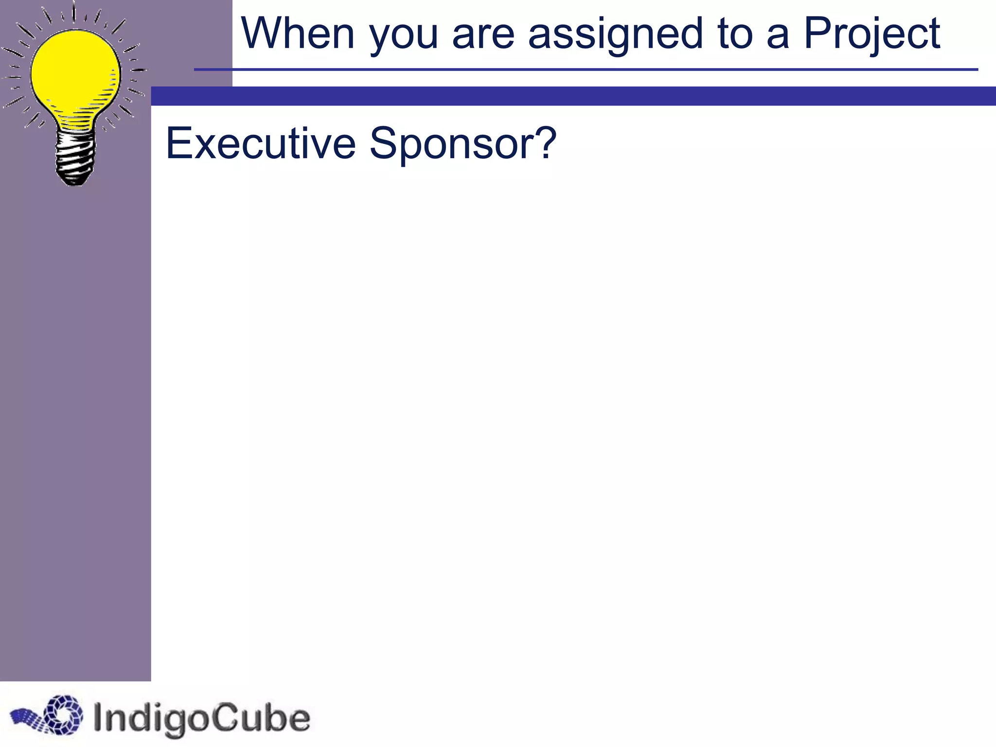 When you are assigned to a Project

Executive Sponsor?
 
