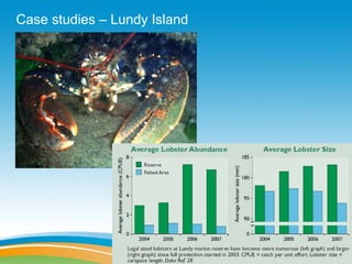 Case studies – Lundy Island
 