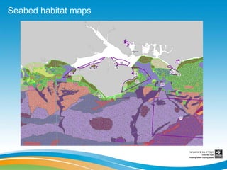 Seabed habitat maps
 