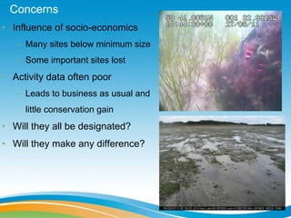 Concerns
• Influence of socio-economics
   – Many sites below minimum size
   – Some important sites lost
• Activity data often poor
   – Leads to business as usual and
     little conservation gain
• Will they all be designated?
• Will they make any difference?
 