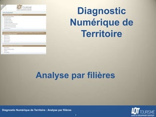 Diagnostic
                                                       Numérique de
                                                         Territoire



                           Analyse par filières


Diagnostic Numérique de Territoire : Analyse par filières
                                                            1
 
