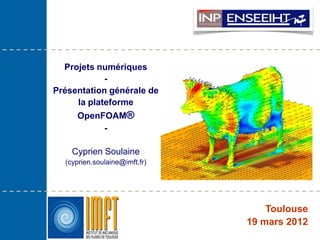 Projets numériques
            -
Présentation générale de
     la plateforme
     OpenFOAM®
          -

    Cyprien Soulaine
  (cyprien.soulaine@imft.fr)




                                   Toulouse
                               19 mars 2012
 