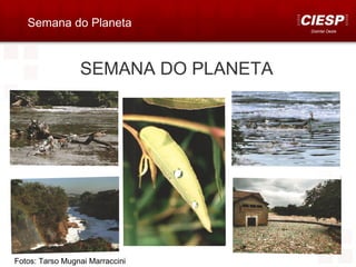 Semana do Planeta
                                     Distrital Oeste




                 SEMANA DO PLANETA




Fotos: Tarso Mugnai Marraccini
 