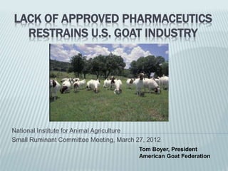 LACK OF APPROVED PHARMACEUTICS
RESTRAINS U.S. GOAT INDUSTRY
National Institute for Animal Agriculture
Small Ruminant Committee Meeting, March 27, 2012
Tom Boyer, President
American Goat Federation
 
