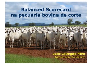 Balanced Scorecard
na pecuária bovina de corte




                Lucio Colangelo Filho
                 Agropecuária São Maurício
 