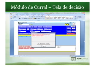 Módulo de Curral – Tela de decisão
 