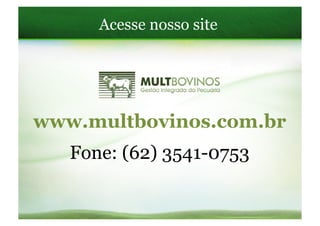 Acesse nosso site




www.multbovinos.com.br
   Fone: (62) 3541-0753
 