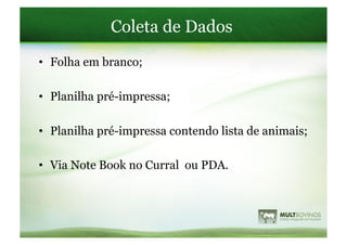 Coleta de Dados
•  Folha em branco;

•  Planilha pré-impressa;

•  Planilha pré-impressa contendo lista de animais;

•  Via Note Book no Curral ou PDA.
 