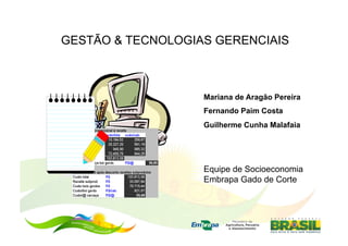 GESTÃO & TECNOLOGIAS GERENCIAIS



                   Mariana de Aragão Pereira
                   Fernando Paim Costa
                   Guilherme Cunha Malafaia




                   Equipe de Socioeconomia
                   Embrapa Gado de Corte
 