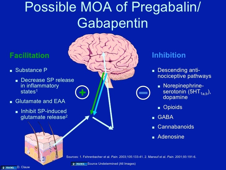gabapentin pregabalin moa