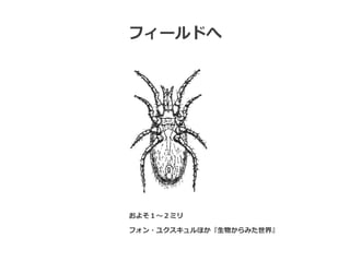 ե`ɤ




褽?ߥ

ե?楯ۤ?狼ߤ硻


    ?	
 ?2012	
 ?Fumitoshi	
 ?Kato	
 