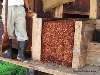 Stephen Hubbes, Kallari
 