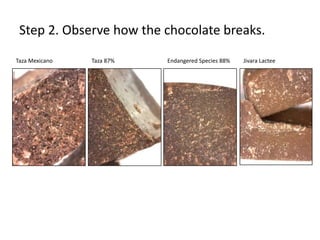 Step 2. Observe how the chocolate breaks.
Taza Mexicano   Taza 87%   Endangered Species 88%   Jivara Lactee
 