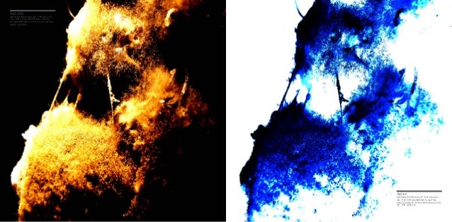 Metamorphosis thesis
