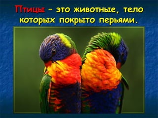 ППттииццыы –– ээттоо жжииввооттнныыее,, ттееллоо 
ккооттооррыыхх ппооккррыыттоо ппееррььяяммии.. 
 