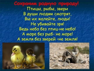 Сохраним родную природу! 
Птицы, рыбы, звери 
В души людям смотрят, 
Вы их жалейте, люди! 
Не убивайте зря! 
Ведь небо без птиц-не небо! 
А море без рыб- не море! 
А земля без зверей –не земля! 
 