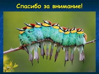 ССппаассииббоо ззаа ввннииммааннииее!! 
