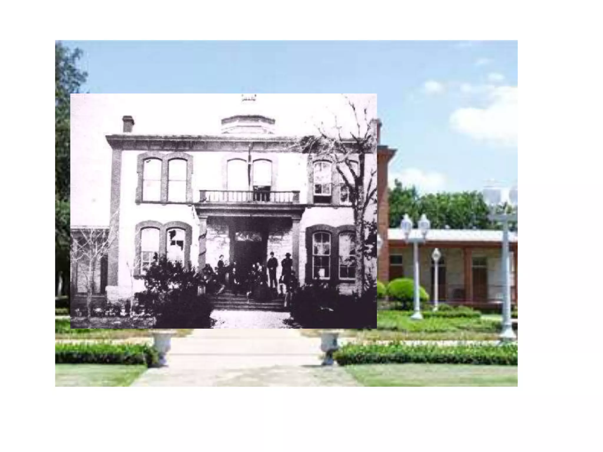 1204 b covert proposal