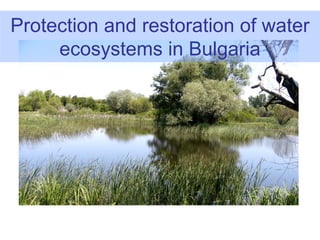 Protection and restoration of water
     ecosystems in Bulgaria
 