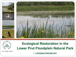 Ecological Restoration in the
                 Lower Prut Floodplain Natural Park
9-11 May, 2012
                          - LIFE05NAT/RO/000155-
 