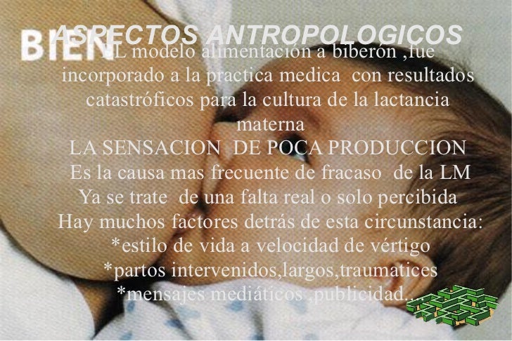 El Arte Femenino De Amamantar Pdf El Arte Femenino De Amamantar Pdf