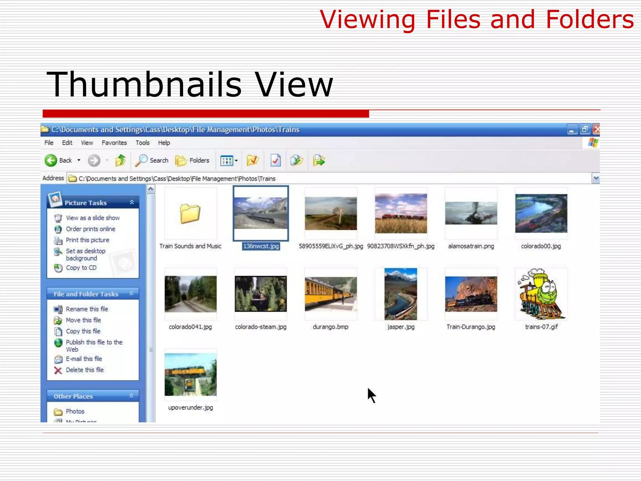Thumbnails View
Viewing Files and Folders
 