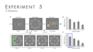 E X P E R I M E N T 5
2 Distractors
 