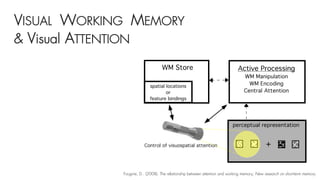 VISUAL WORKING MEMORY
& Visual ATTENTION
Fougnie, D.. (2008). The relationship between attention and working memory, New research on short-term memory.
 
