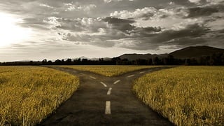 Too Sick for Surgery - Steve Mathieu