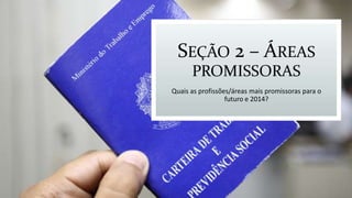 SEÇÃO 2 – ÁREAS
PROMISSORAS
Quais as profissões/áreas mais promissoras para o
futuro e 2014?
 