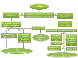 Diplopía


                         Si    Prueba de oclusión (Cover Test): No
     Monocular                La diplopía persiste al tapar un ojo         Binocular


La diplopía mejora con                                                   Exp. NRL
 agujero estenopeico                                                  Y oftalmológica
                                      Síntomas NRL
      Si           No                                   Sospecha de patología oftalmológica

 Alteraciones       Patología en:                                          No Si
                                           Derivación          Inf. SNC             Alt. de la
de la refracción       -Córnea             urgente a         T. Cerebral           refracción,
                      -Cristalino             NRL                ACV                parálisis
                    -Vítreo-retina
                                                                                   oculomotor
                                                              M. Grave
                                                                                         a
                                                          Control APS y
                                                         Endocrinología            Estrabismo
                ITC
     Preferente a Oftalmología
                                                                        ITC
                                                             Preferente a oftalmología
 