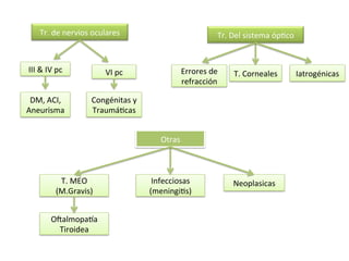 Tr.	
  de	
  nervios	
  oculares	
                                      Tr.	
  Del	
  sistema	
  ópLco	
  


III	
  &	
  IV	
  pc	
             VI	
  pc	
                   Errores	
  de	
       T.	
  Corneales	
         Iatrogénicas	
  
                                                                refracción	
  

 DM,	
  ACI,	
                Congénitas	
  y	
  
Aneurisma	
                   TraumáLcas	
  


                                                        Otras	
  



                   T.	
  MEO	
                       Infecciosas	
                   Neoplasicas	
  
                  (M.Gravis)	
                      (meningiLs)	
  


               OZalmopa[a	
  
                 Tiroidea	
  
 