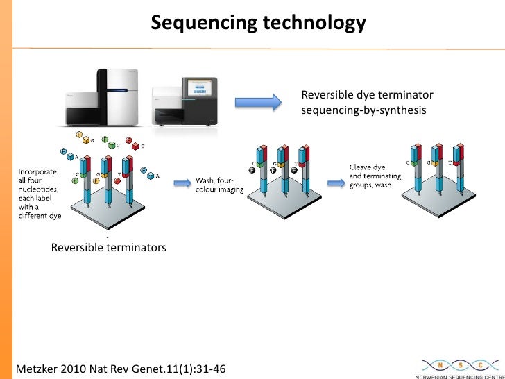 New High Throughput Sequencing technologies at the Norwegian Sequenci…