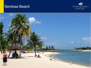 Sentosa Beach   Dr. Rainer Lisowski




                                      24
 