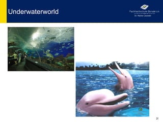 Underwaterworld   Dr. Rainer Lisowski




                                        25
 