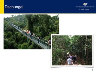 Dschungel   Dr. Rainer Lisowski




                                  28
 