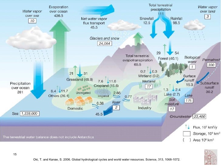 hydrological engineers