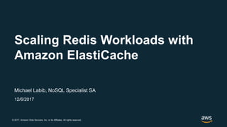 © 2017, Amazon Web Services, Inc. or its Affiliates. All rights reserved.
Michael Labib, NoSQL Specialist SA
12/6/2017
Scaling Redis Workloads with
Amazon ElastiCache
 