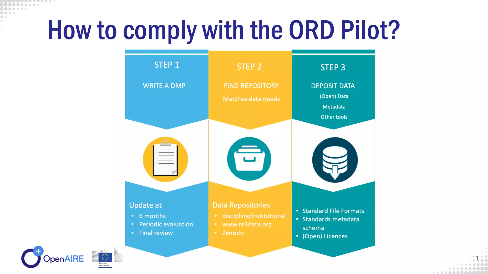 11
How to comply with the ORD Pilot?
 