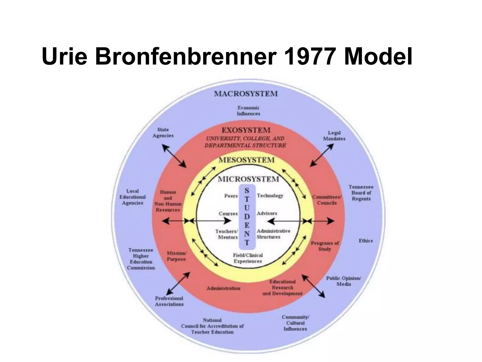 Urie Bronfenbrenner 1977 Model
 