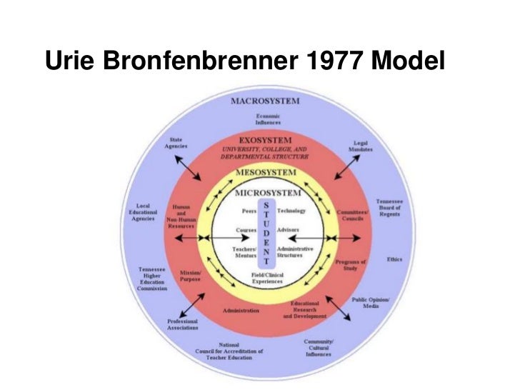 Research paper urie bronfenbrenner