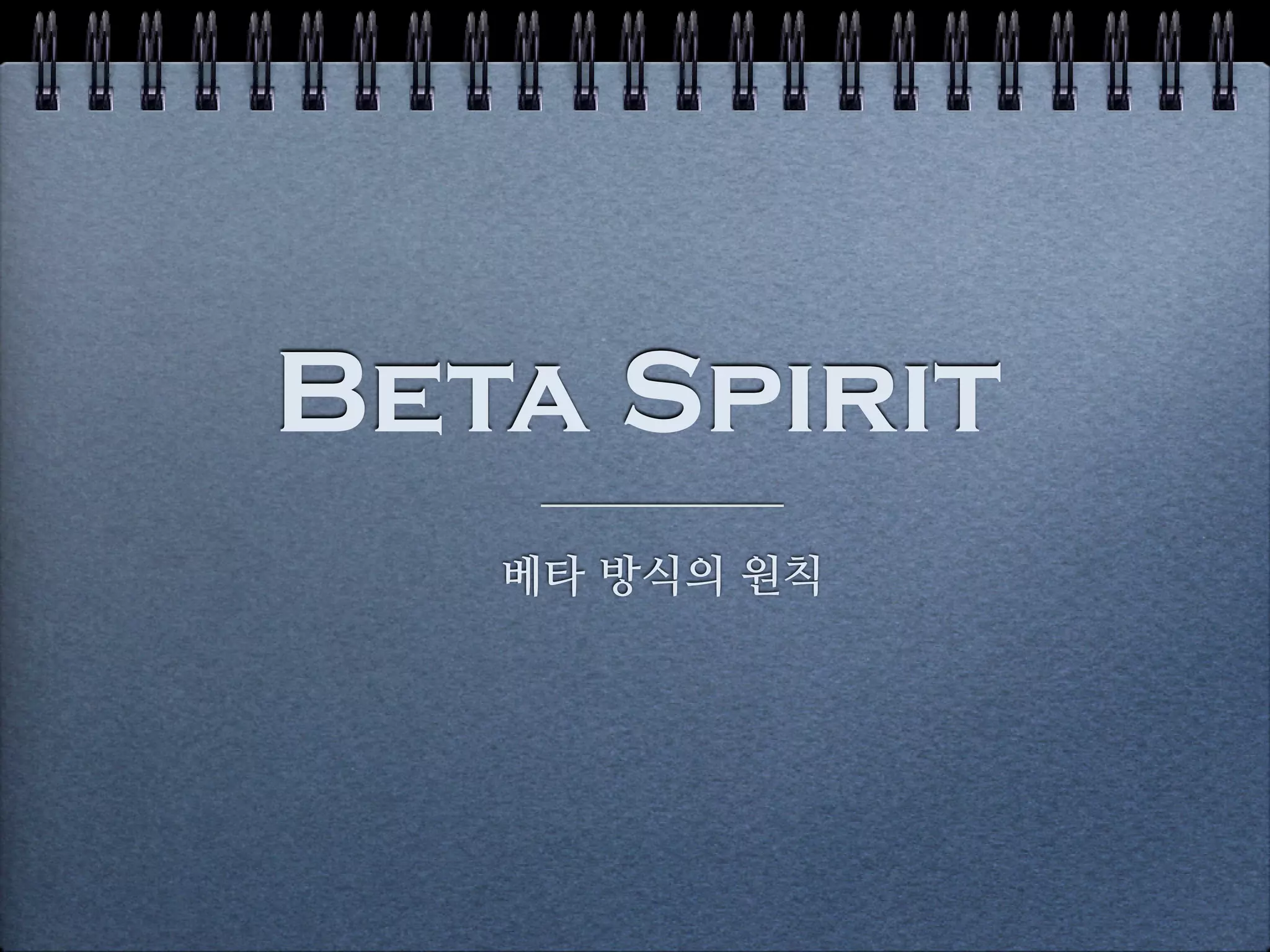 Beta Spirit
   베타 방식의 원칙
 
