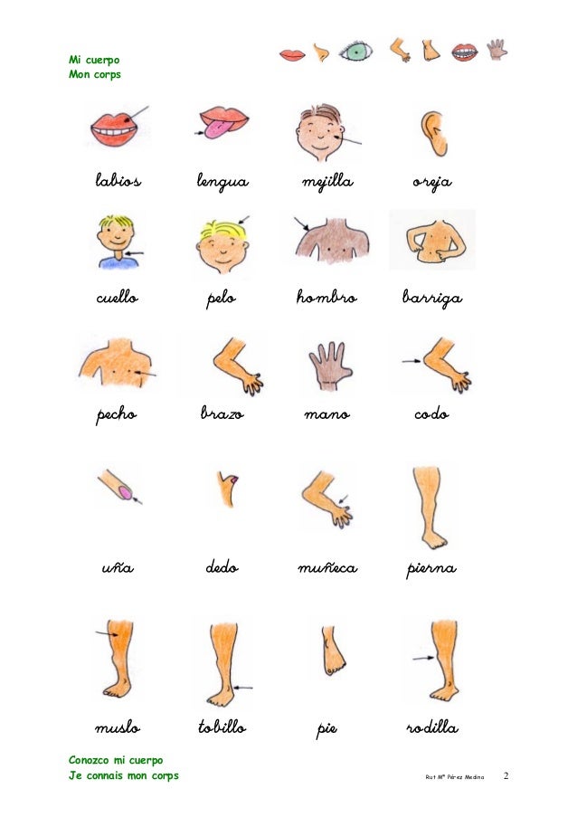 Como Se Dice Cejas En Inglés