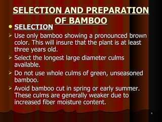 SELECTION AND PREPARATION OF BAMBOO SELECTION Use only bamboo showing a pronounced brown color. This will insure that the plant is at least three years old. Select the longest large diameter culms available.  Do not use whole culms of green, unseasoned bamboo.  Avoid bamboo cut in spring or early summer. These culms are generally weaker due to increased fiber moisture content.  