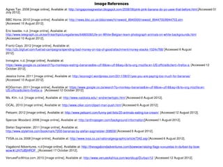 Monkey See Monkey Doo online