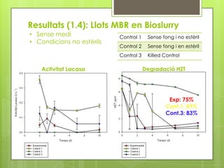 Resultats (1.4): Llots MBR en Bioslurry
• Sense medi               Control 1    Sense fong i no estèril
• Condicions no estèrils
                           Control 2    Sense fong i en estèril
                           Control 3    Killed Control

    Activitat Lacasa                   Degradació HZT




                                                Exp: 75%
                                               Cont.1: 89%
                                               Cont.3: 83%
 