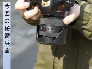 今
回
の
秘
密
兵
器
　
　
 