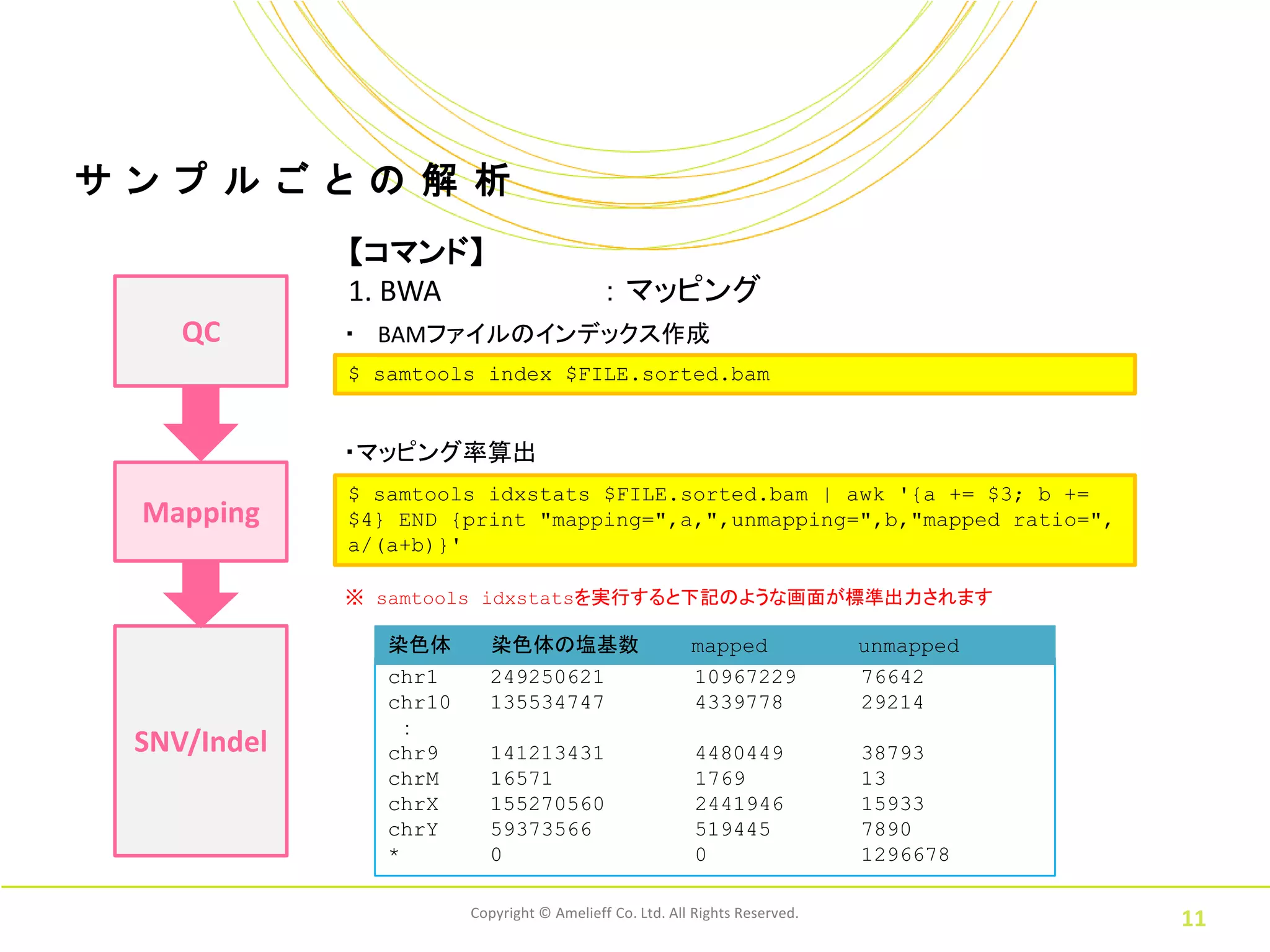 サ ン プ ル ご と の 解 析
              【コマンド】
              1. BWA                         ： マッピング
     QC       ・ BAMファイルのインデックス作成
              $ samtools index $FILE.sorted.bam


              ・マッピング率算出
              $ samtools idxstats $FILE.sorted.bam | awk '{a += $3; b +=
  Mapping     $4} END {print "mapping=",a,",unmapping=",b,"mapped ratio=",
              a/(a+b)}'

              ※ samtools idxstatsを実行すると下記のような画面が標準出力されます

                 染色体       染色体の塩基数                        mapped              unmapped
                 chr1      249250621                      10967229            76642
                 chr10     135534747                      4339778             29214
                   ：
  SNV/Indel      chr9      141213431                       4480449            38793
                 chrM      16571                           1769               13
                 chrX      155270560                       2441946            15933
                 chrY      59373566                        519445             7890
                 *         0                               0                  1296678

                         Copyright © Amelieff Co. Ltd. All Rights Reserved.
                                                                                         11
 