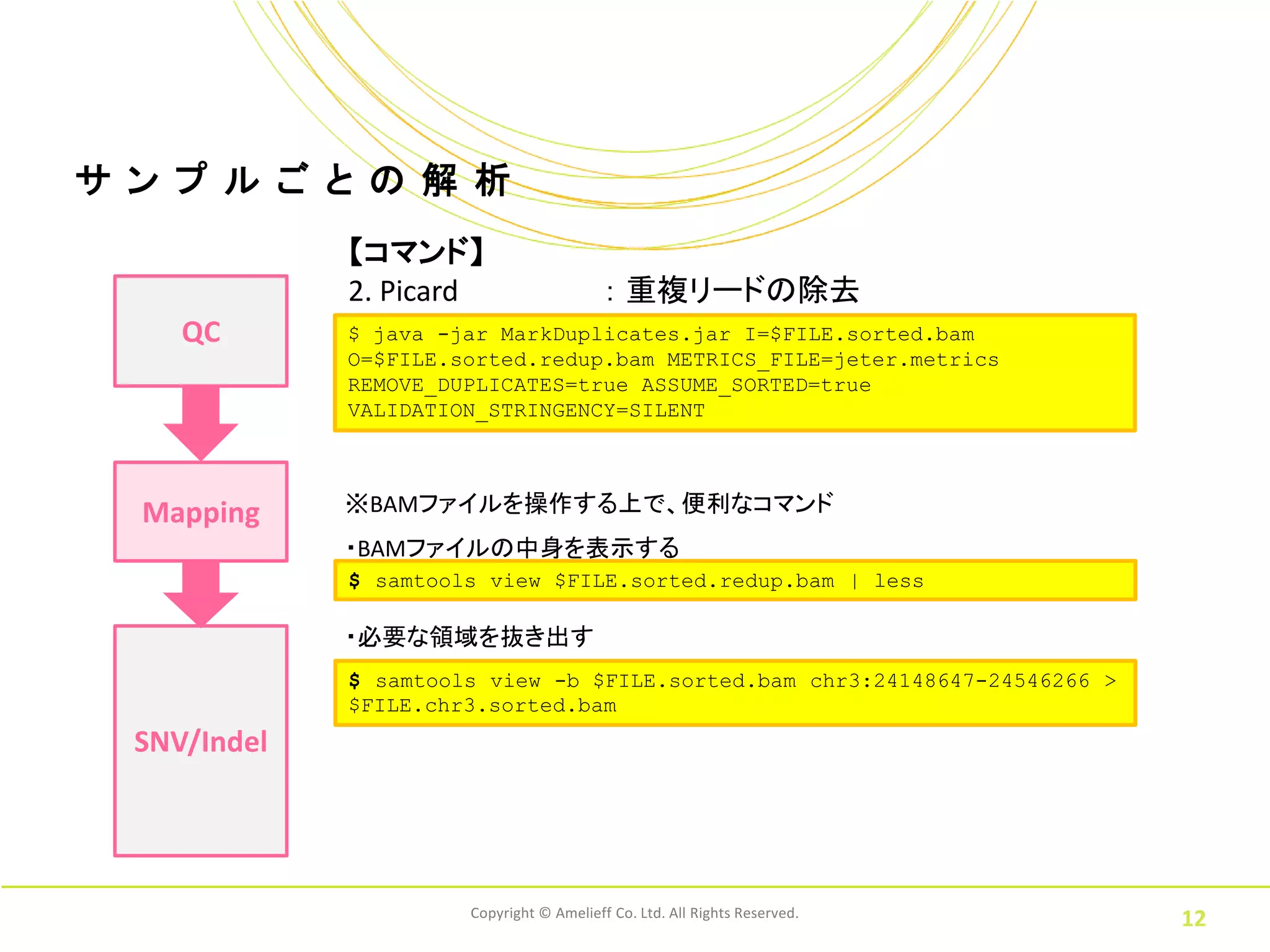 サ ン プ ル ご と の 解 析
              【コマンド】
              2. Picard                    ： 重複リードの除去
     QC       $ java -jar MarkDuplicates.jar I=$FILE.sorted.bam
              O=$FILE.sorted.redup.bam METRICS_FILE=jeter.metrics
              REMOVE_DUPLICATES=true ASSUME_SORTED=true
              VALIDATION_STRINGENCY=SILENT




  Mapping     ※BAMファイルを操作する上で、便利なコマンド
              ・BAMファイルの中身を表示する
              $ samtools view $FILE.sorted.redup.bam | less

              ・必要な領域を抜き出す
              $ samtools view -b $FILE.sorted.bam chr3:24148647-24546266 >
              $FILE.chr3.sorted.bam
  SNV/Indel




                       Copyright © Amelieff Co. Ltd. All Rights Reserved.
                                                                             12
 