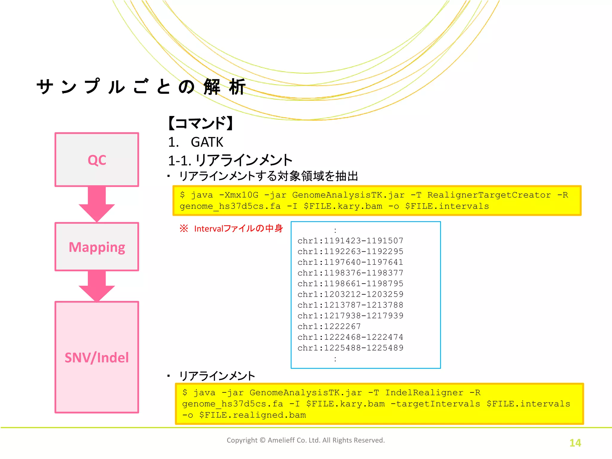 サ ン プ ル ご と の 解 析
              【コマンド】
              1. GATK
     QC       1-1. リアラインメント
              ・ リアラインメントする対象領域を抽出
               $ java -Xmx10G -jar GenomeAnalysisTK.jar -T RealignerTargetCreator -R
               genome_hs37d5cs.fa -I $FILE.kary.bam -o $FILE.intervals

               ※ Intervalファイルの中身                    ：
                                             chr1:1191423-1191507
  Mapping                                    chr1:1192263-1192295
                                             chr1:1197640-1197641
                                             chr1:1198376-1198377
                                             chr1:1198661-1198795
                                             chr1:1203212-1203259
                                             chr1:1213787-1213788
                                             chr1:1217938-1217939
                                             chr1:1222267
                                             chr1:1222468-1222474
                                             chr1:1225488-1225489
  SNV/Indel                                         ：

              ・ リアラインメント
               $ java -jar GenomeAnalysisTK.jar -T IndelRealigner -R
               genome_hs37d5cs.fa -I $FILE.kary.bam -targetIntervals $FILE.intervals
               -o $FILE.realigned.bam

                       Copyright © Amelieff Co. Ltd. All Rights Reserved.
                                                                                       14
 